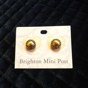 Brighton Luster Mini Studs